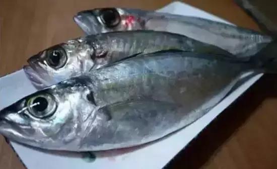 海南，热带风情与人文魅力深度解析