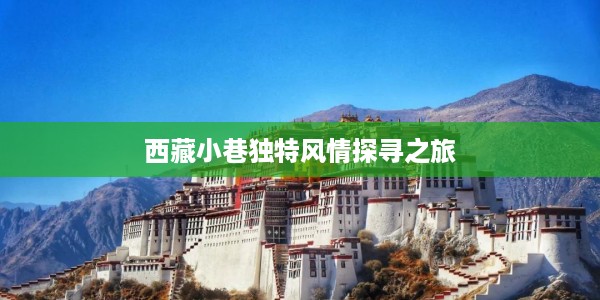 西藏小巷独特风情探寻之旅