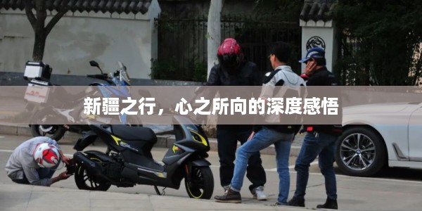 新疆之行，心之所向的深度感悟